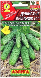 Огурец Душистые крепыши F1