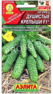 Огурец Душистые крепыши F1