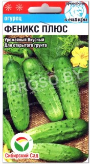 Огурец Феникс плюс