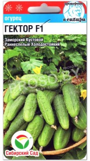 Огурец Гектор F1