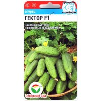 Огурец Гектор F1