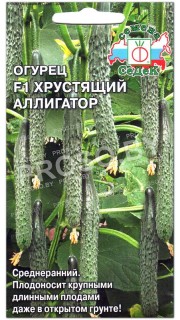 Огурец Хрустящий аллигатор F1