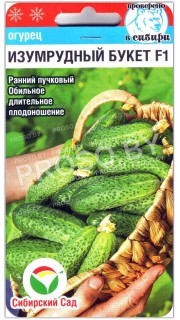 Огурец Изумрудный букет F1