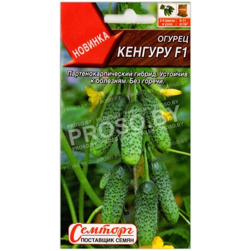 Огурец Кенгуру F1
