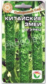 Огурец Китайские змеи