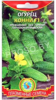 Огурец Конни F1