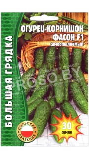 Огурец корнишон Фасон F1