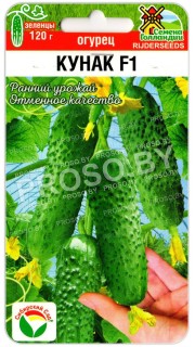 Огурец Кунак F1