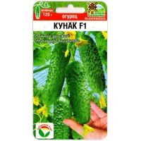 Огурец Кунак F1