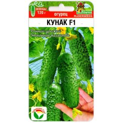 Огурец Кунак F1