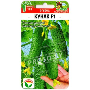 Огурец Кунак F1