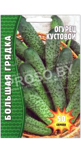 Огурец Кустовой