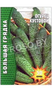 Огурец Кустовой