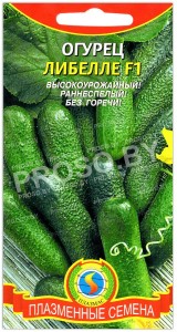 Огурец Либелле F1
