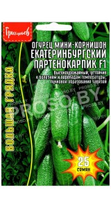 Огурец мини корнишон Екатеринбургский партенокарпик F1