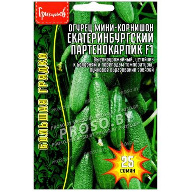Огурец мини корнишон Екатеринбургский партенокарпик F1