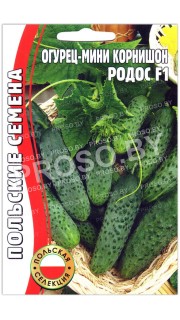 Огурец мини корнишон Родос F1