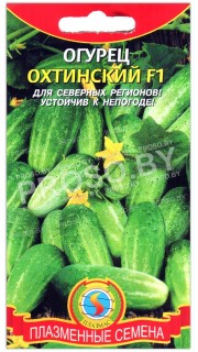 Огурец Охтинский F1