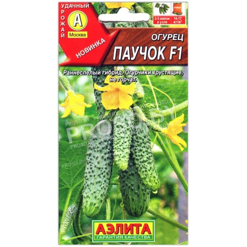 Огурец Паучок F1