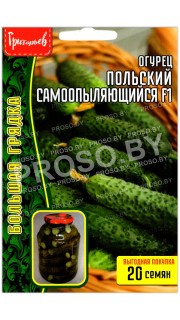 Огурец Польский самоопыляющийся F1