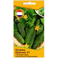 Огурец Проликс F1