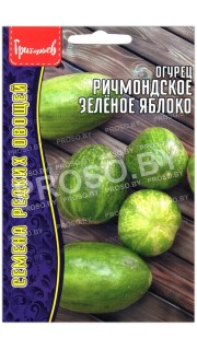 Огурец Ричмондское зеленое яблоко