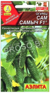 Огурец Сам самыч F1