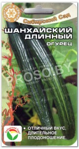 Огурец Шанхайский длинный
