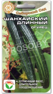 Огурец Шанхайский длинный