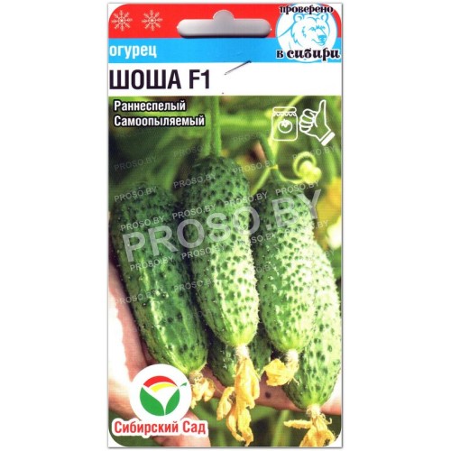 Огурец Шоша F1-1