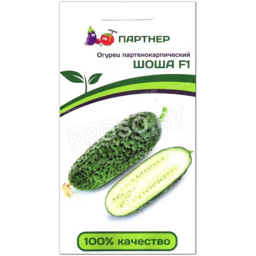 Огурец Шоша F1-2