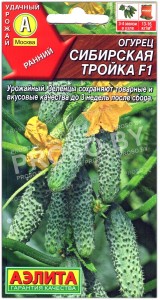 Огурец Сибирская тройка F1