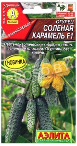 Огурец Соленая карамель F1