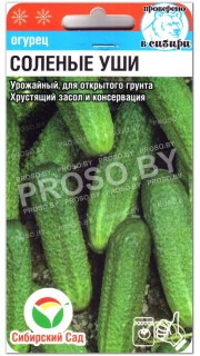 Огурец Соленые уши
