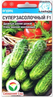 Огурец Суперзасолочный F1