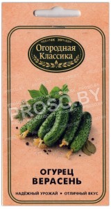 Огурец Верасень