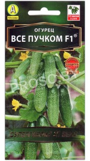 Огурец Все пучком F1