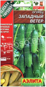Огурец Западный ветер