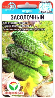 Огурец Засолочный