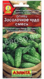 Огурец Засолочное чудо, смесь