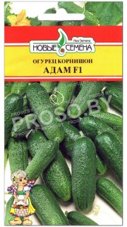 Огурец Адам F1