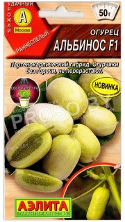 Огурец Альбинос F1