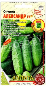 Огурец Александр F1