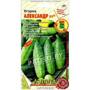 Огурец Александр F1