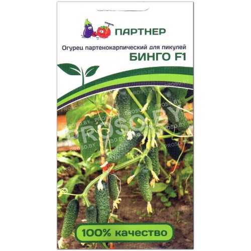 Огурец Бинго F1-1