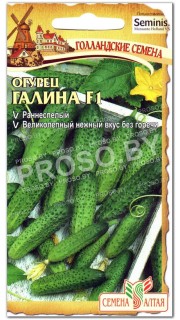 Огурец Галина F1