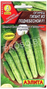 Огурец Гигант из поднебесной F1
