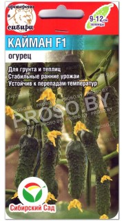 Огурец Кайман F1