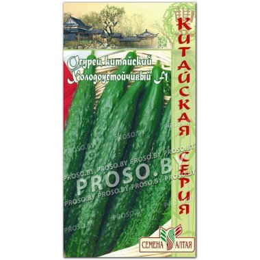 Огурец китайский Холодоустойчивый F1