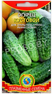 Огурец Кустовой